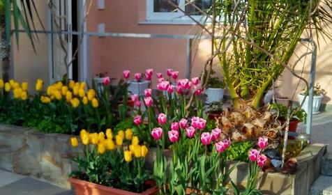 Гостевой дом Лазурит, Адлер