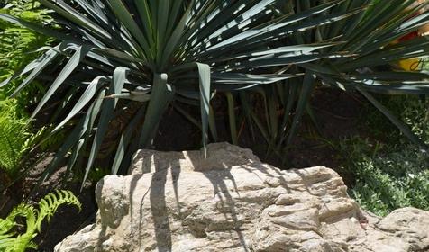 Гостиница Белая лебедь, г. Геленджик