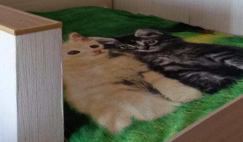 Однокомнатная квартира на Плеханова, Ейск