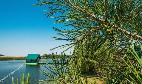 Казачий хуторок