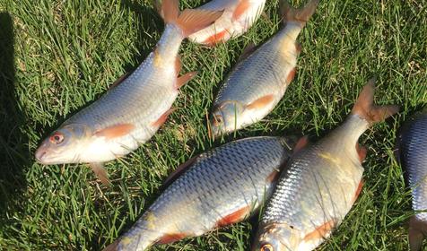 Казачий хуторок