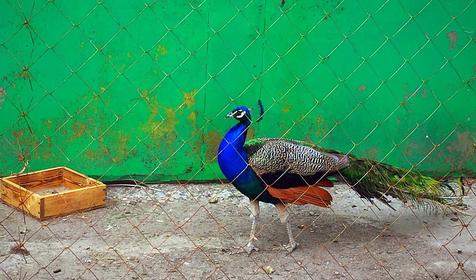 Казачий хуторок