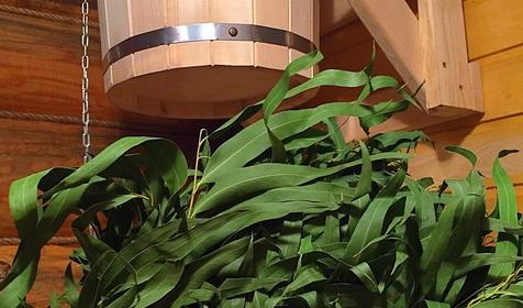 Банный домик