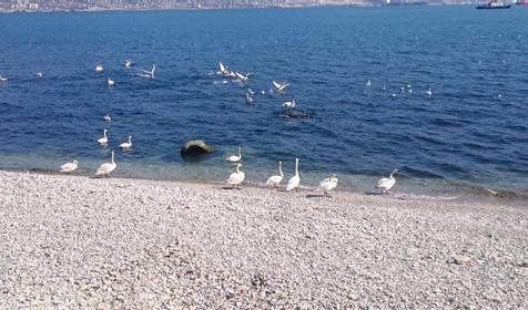 Квартира у моря