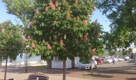 Квартира у моря