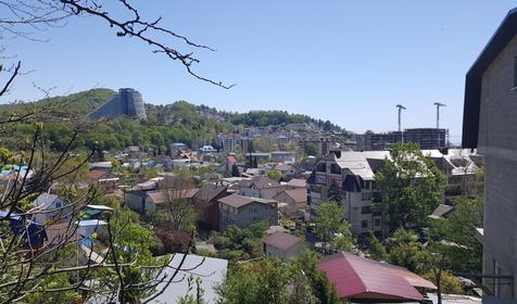 Хостел Деревяшка, г. Сочи, Лазаревский р-н, Дагомыс