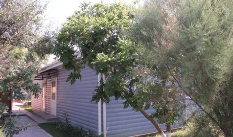 Двухместный номер улучшенной категории. СОЦ "Анапа", Анапа, Благовещенская