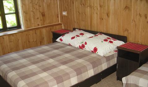 Двухкомнатный люкс с кухней, мансарда