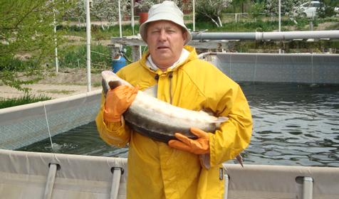 Осетровый курень