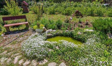 Волшебный сад