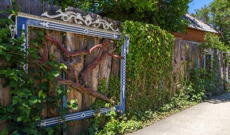 Волшебный сад