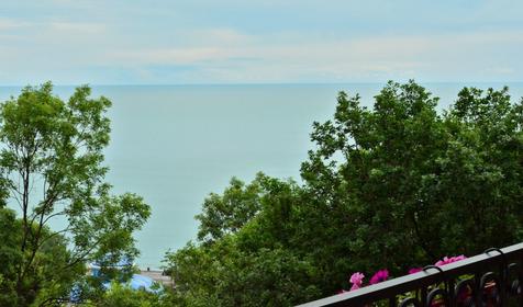 Loo de Luxe (Лоо де Люкс)