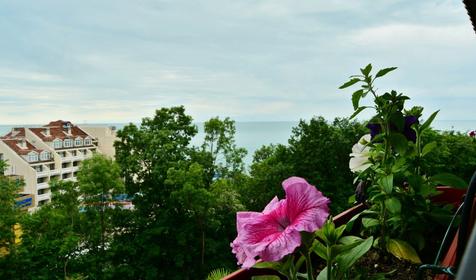 Loo de Luxe (Лоо де Люкс)