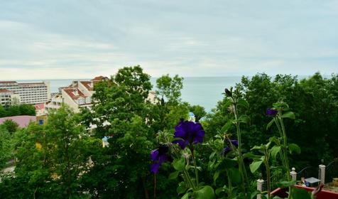 Loo de Luxe (Лоо де Люкс)