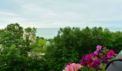 Loo de Luxe (Лоо де Люкс)