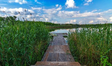 Клуб загородного отдыха Пикник Клаб, ст. Динская, с. Красносельское