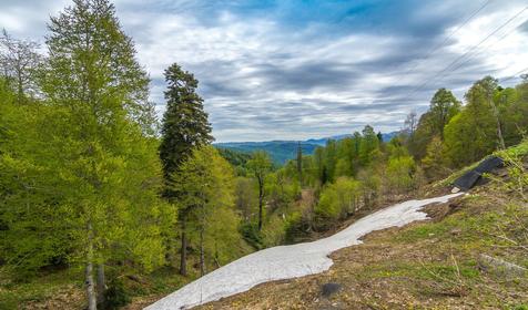 Партизанская поляна. Майкопский район, п. Гузерипль.