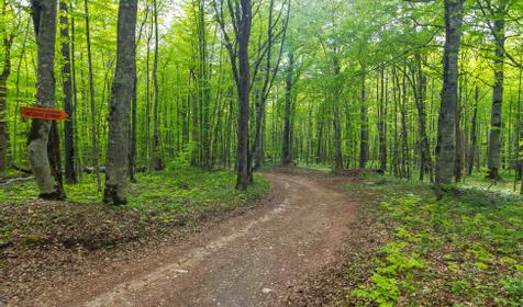 База отдыха Звездная долина, Апшеронский район, Лагонаки