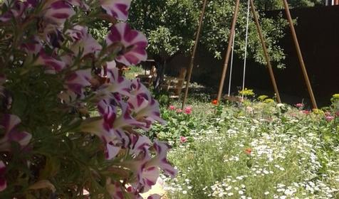 Дом комфорта и уюта