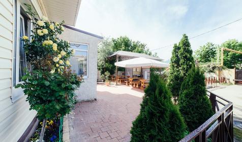 Морской конек