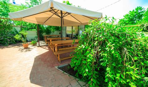 Морской конек