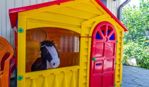 В гостях у Нины Федоровны, г. Анапа