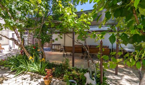 В гостях у Нины Федоровны, г. Анапа