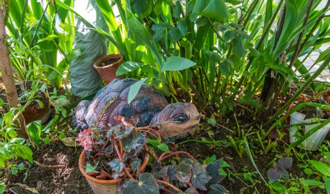 В гостях у Нины Федоровны, г. Анапа