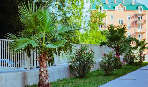 Квартира Наталья, Адлер