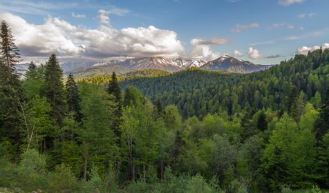 Республика Адыгея, Майкопский р-н