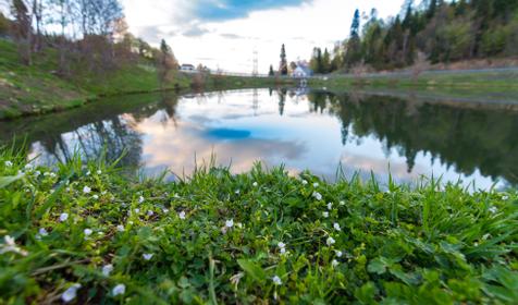 Республика Адыгея, Майкопский р-н