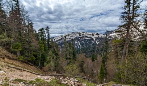 Республика Адыгея, Майкопский р-н