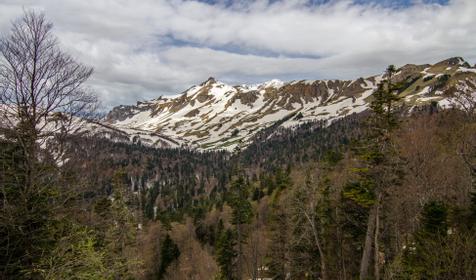 Республика Адыгея, Майкопский р-н