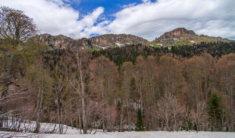 Республика Адыгея, Майкопский р-н