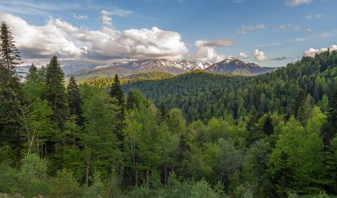 Плато Лаго-Наки