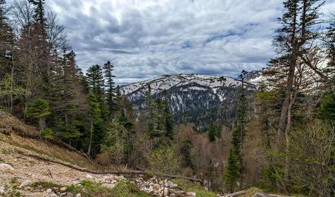 Плато Лаго-Наки