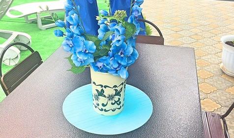 Адлер-Каравелла