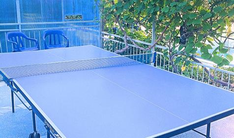 Адлер-Каравелла