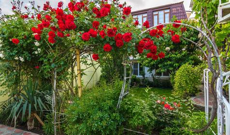 Гостевой дом Ладья, Анапа, Витязево