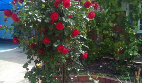 На Первомайском