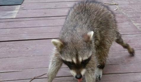 База отдыха Бриз, Туапсинский р-н, Бухта Инал