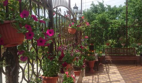 Гостевой дом Пани София, Сочи, Якорная щель, Нижняя Беранда