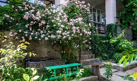 Четыре стихии