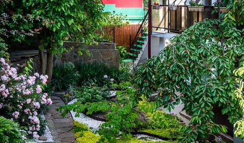 Четыре стихии