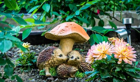 Четыре стихии