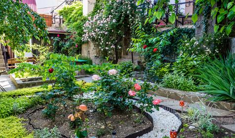 Четыре стихии