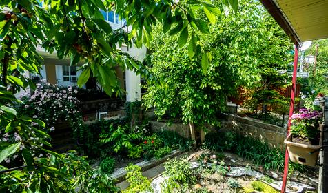 Четыре стихии