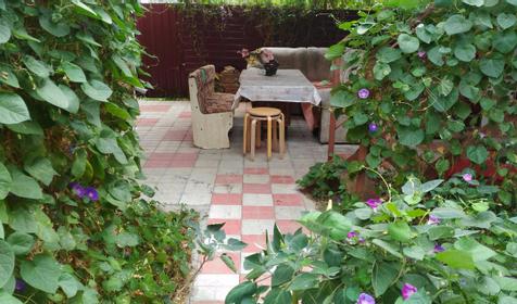 На улице Павлова