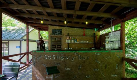 Сосновый бор