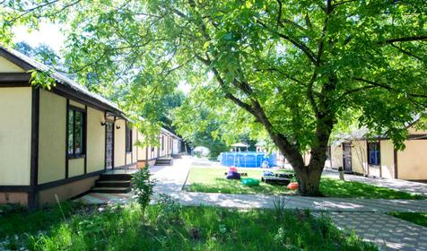 Сосновый бор